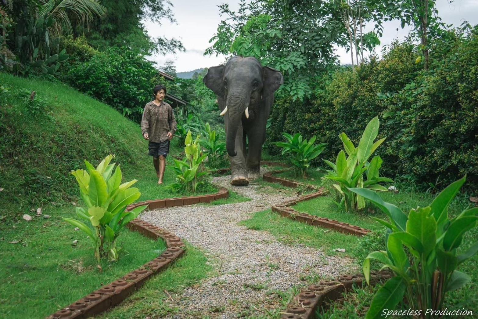 3 Pok Maewang Jinxiang Gold Elephant Park Mae Wang Esterno foto